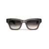 Jacques Marie Mage Dealan 53